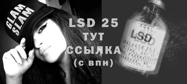 индика Волоколамск