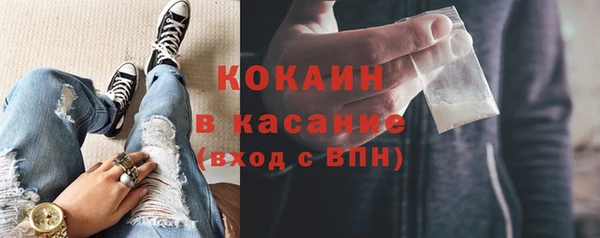 индика Волоколамск