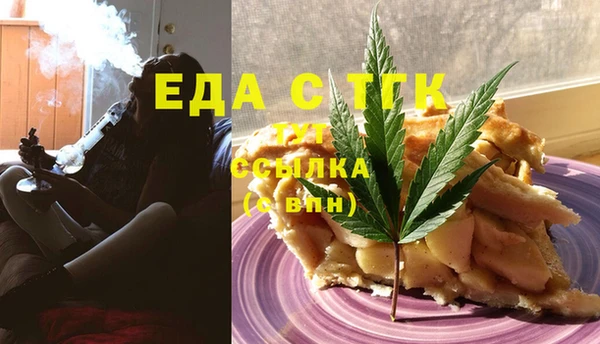 индика Волоколамск