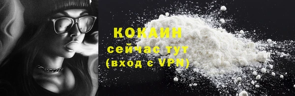 индика Волоколамск